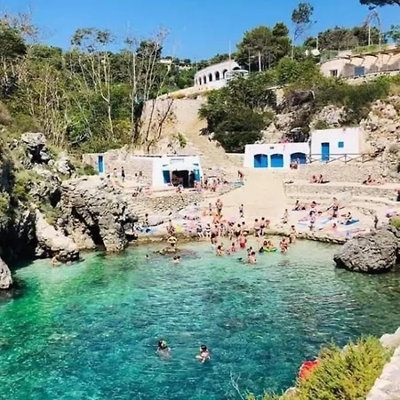 Vacanze